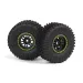 Maverick Doha Wheels on 12 Spoke Green Rims 2Pcs - Glued Wheels