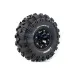Louise 2.2" CR Rowdy Tyres on Black 8 Spoke Rims - Glued Wheels 2Pcs