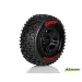 Louise 2.2/3.0" Pioneer Tyres on Black Rims - Glued Wheels 2Pcs