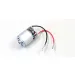 Kyosho 540 Size 24T Brushed Motor