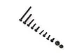 A collection of various black metal screws and two nuts arranged in a diagonal line on a white background.