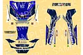 Pandora RC Jin Horino Spec Vinyl and Logo Decal Set VGP-622
