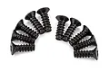 Ten black metal countersunk head screws with coarse threads arranged in a semi-circle on a white background.