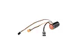 Spektrum Firma 5200Kv brushless motor and ESC 2-in-1 combo unit with attached wiring, power connector, and power switch.