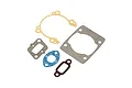 Zenoah G320RC 2-stroke engine gasket kit featuring multiple assorted gaskets against a clean white background.
