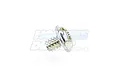Zenoah 2 Stroke Engine Carburettor Throttle Lever Screw 288081470