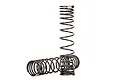 Two dark grey metal coil springs for Traxxas UDR RC car suspension, one standing upright and one lying horizontally on a white background.