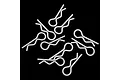 A collection of ten white R-clips for RC car bodies scattered against a black background.