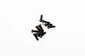 A small pile of ten black metal button head screws for RC models on a white background.