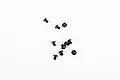 A small collection of ten black metal button head screws scattered on a plain white background.