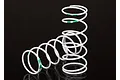 Two white Traxxas GTR shock springs with green identification markings on a black background.