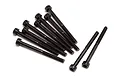 A group of ten black metal cap head screws with hex sockets, arranged on a white background.