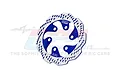 A blue and silver GPM Racing aluminium rear brake disc for RC motorcycles, featuring a vented design and GPM branding.