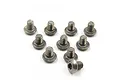 A collection of ten small silver-coloured titanium button head screws arranged on a white background.