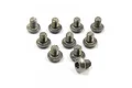 A set of ten small titanium button head screws with fine threads arranged on a white background.
