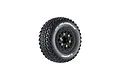 A single Louise SC-Hummer RC short course tyre mounted on a black spoked rim with gold-coloured lug nuts, isolated on a white background.