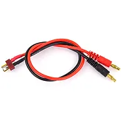 Charge Leads
