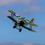 Warbird