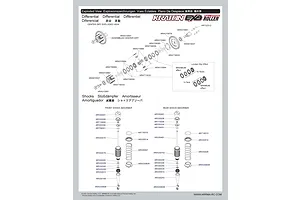 Shocks & Differentials