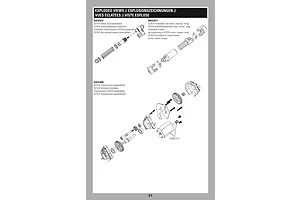 Shocks & Transmission
