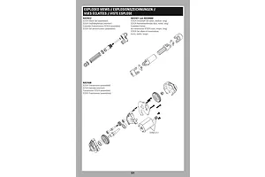 Shocks & Transmission