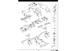 Shocks & Transmission