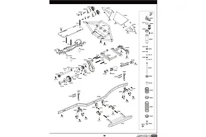 Shocks & Transmission