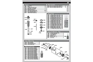 Shocks & Differential