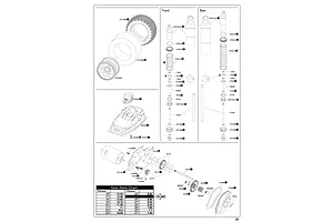 Shocks & Transmission