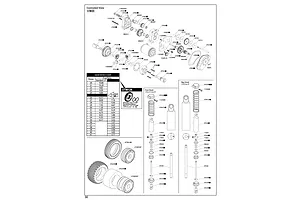 Shocks & Transmission