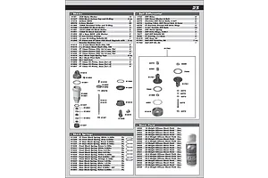 Shocks & Differential