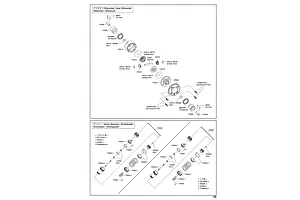 Shocks & Differentials