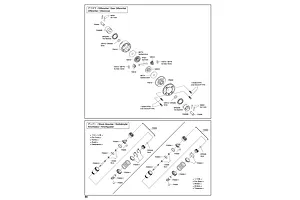 Shocks & Differentials