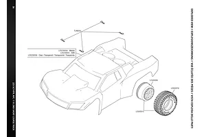 Body & Wheels