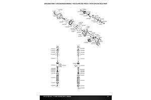 Shocks & Transmission