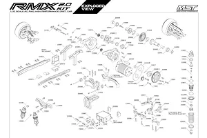 Shocks & Transmission