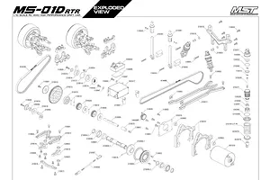 Shocks & Transmission