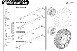 Shocks & Linkages