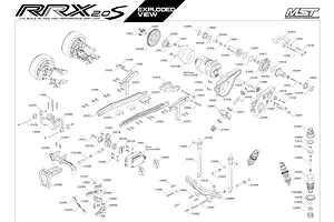 Shocks & Transmission