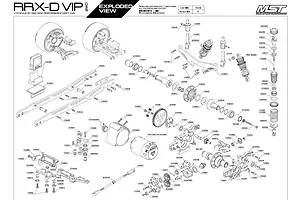 Shocks & Transmission
