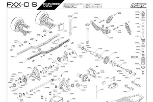Shocks & Transmission