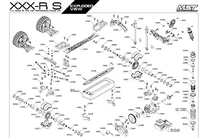 Shocks & Transmission