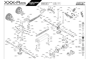 Shocks & Transmission