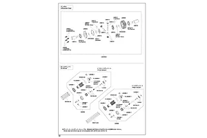 Shocks & Differentials