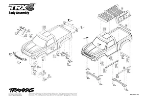Body