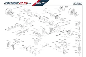Shocks & Transmission