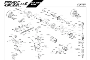 Shocks & Transmission