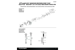 Shocks & Transmission