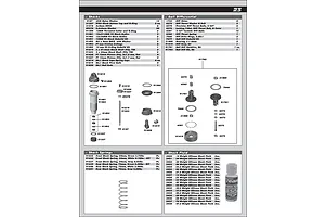 Shocks & Differential