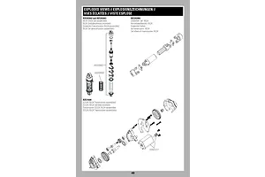 Shocks & Transmission
